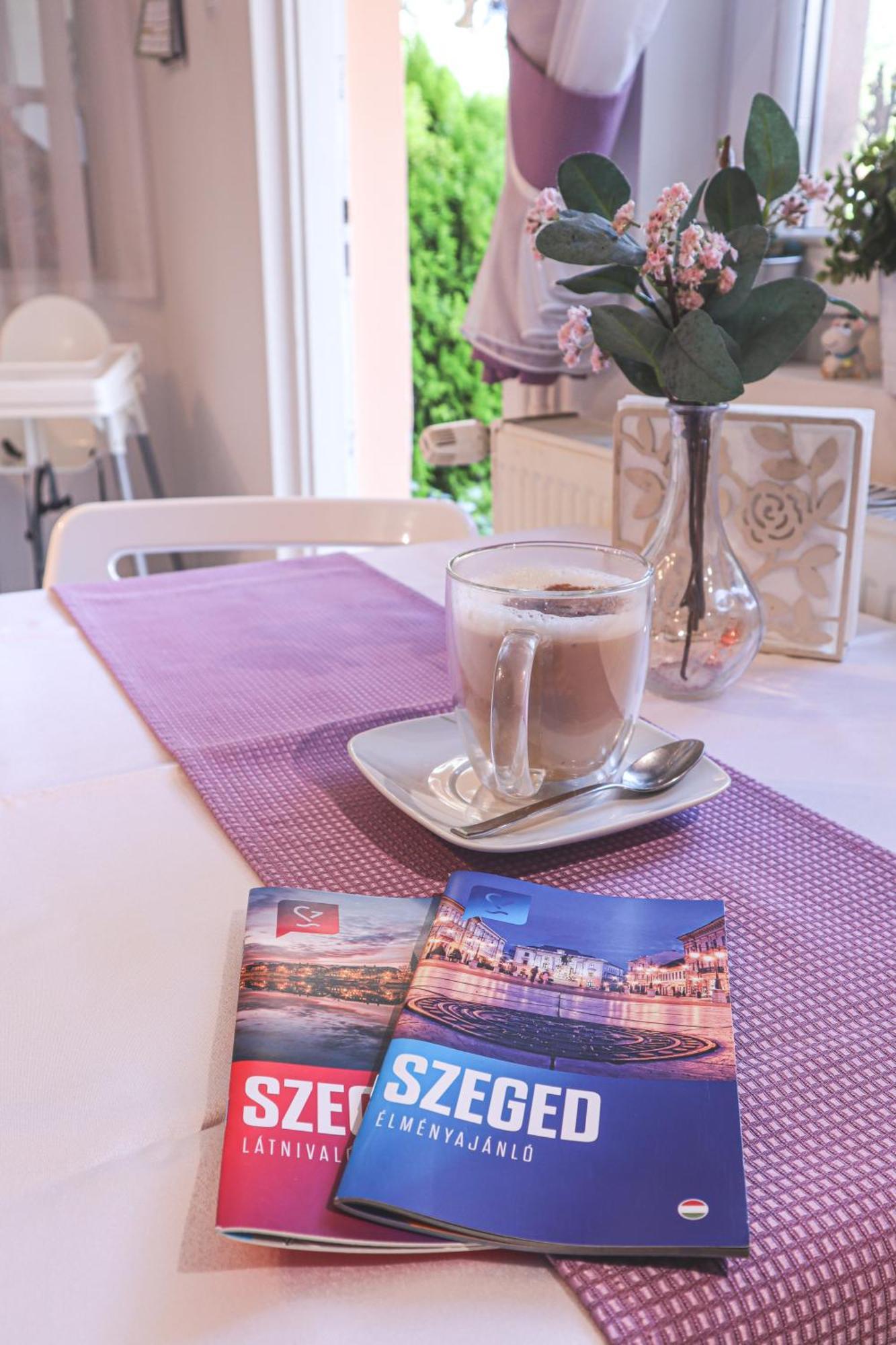 Szivarvany Panzio セゲド エクステリア 写真