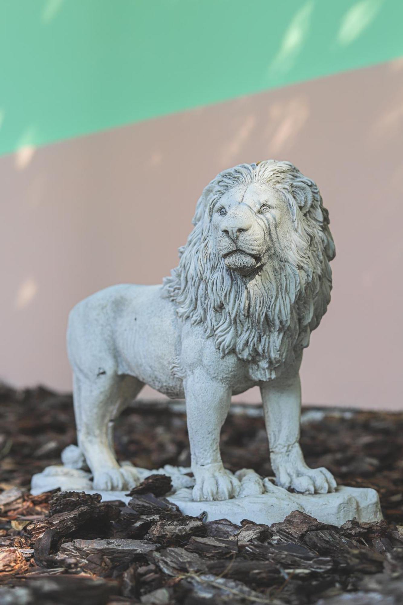 Szivarvany Panzio セゲド エクステリア 写真